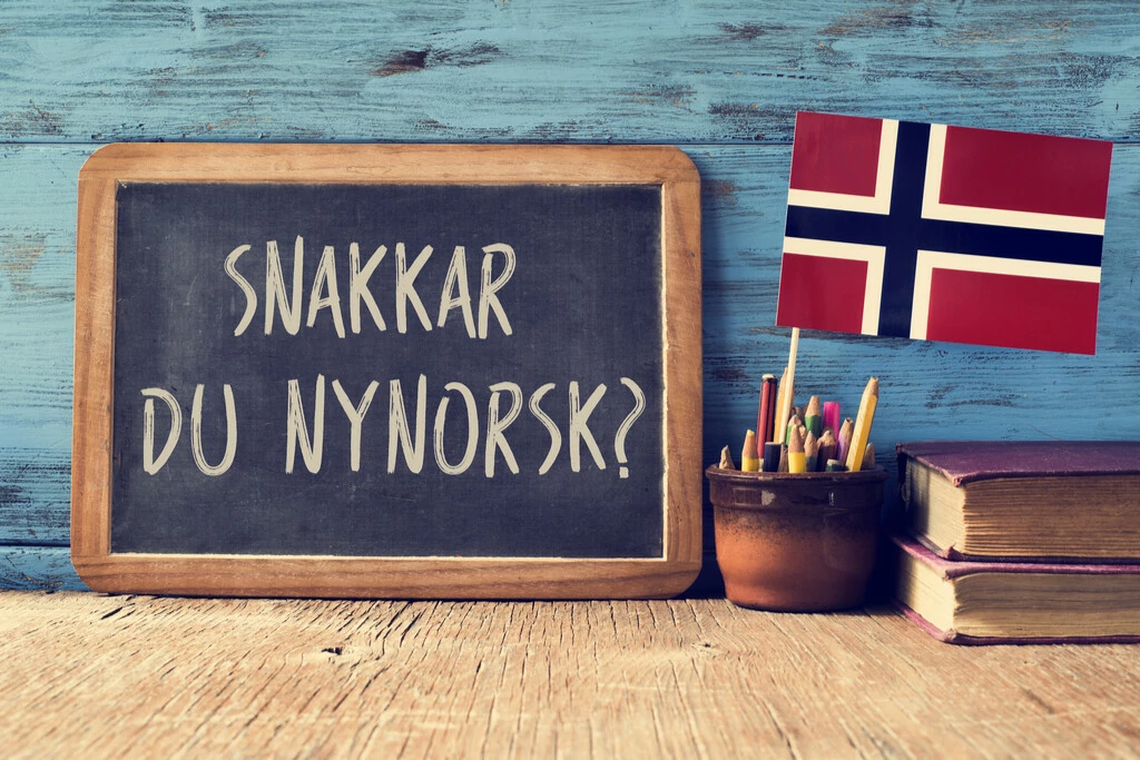 Noorse taal